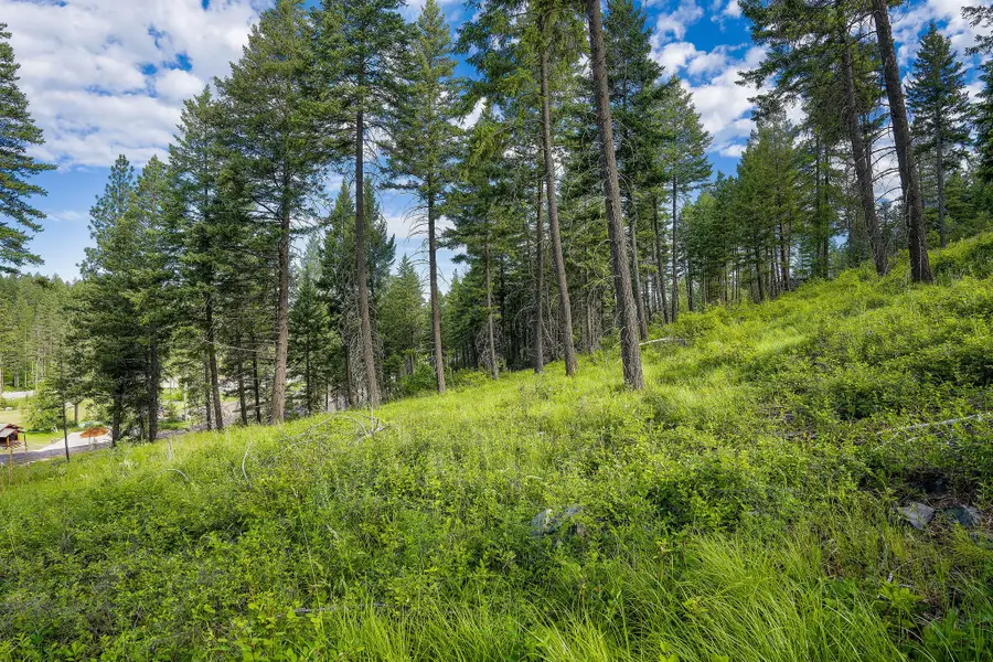 16 Bridle Court, Bigfork, MT 59911 - #2