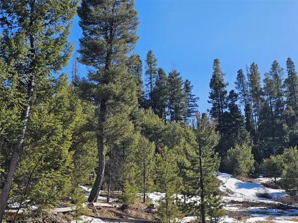 NHN Elk Horn Road, Helmville, MT 59843
