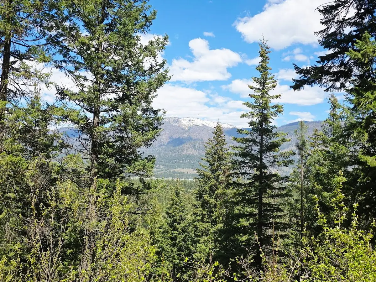 93 Wapiti Point Road, Thompson Falls, MT 59873 - #1