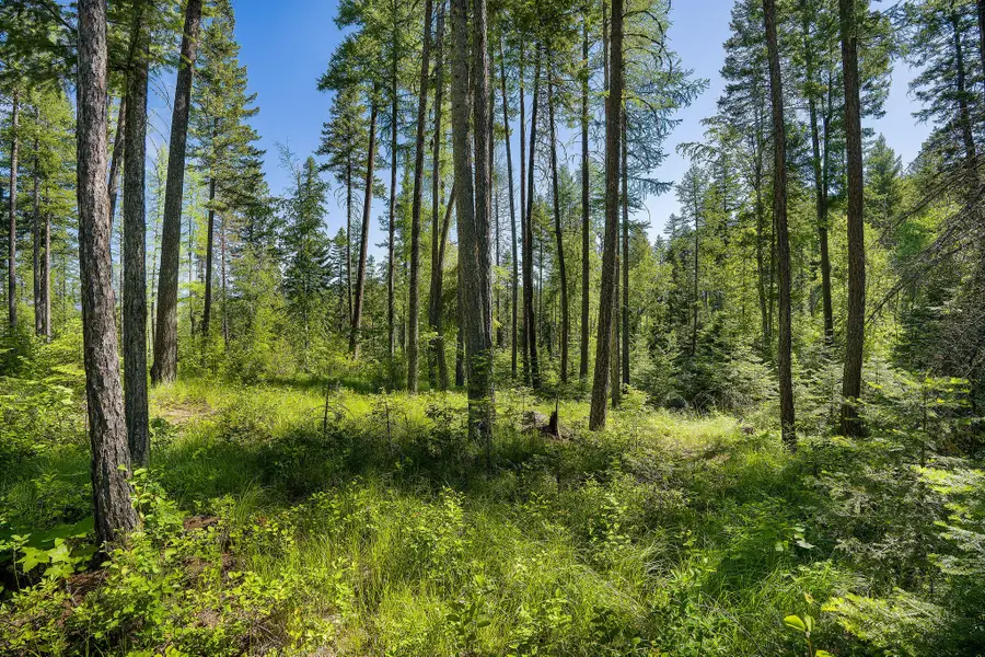 139 Timberjack Trail, Bigfork, MT 59911 - #2