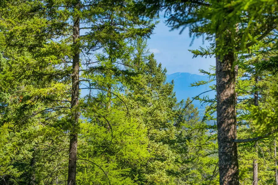 643 Saddlehorn Trail, Bigfork, MT 59911 - #2