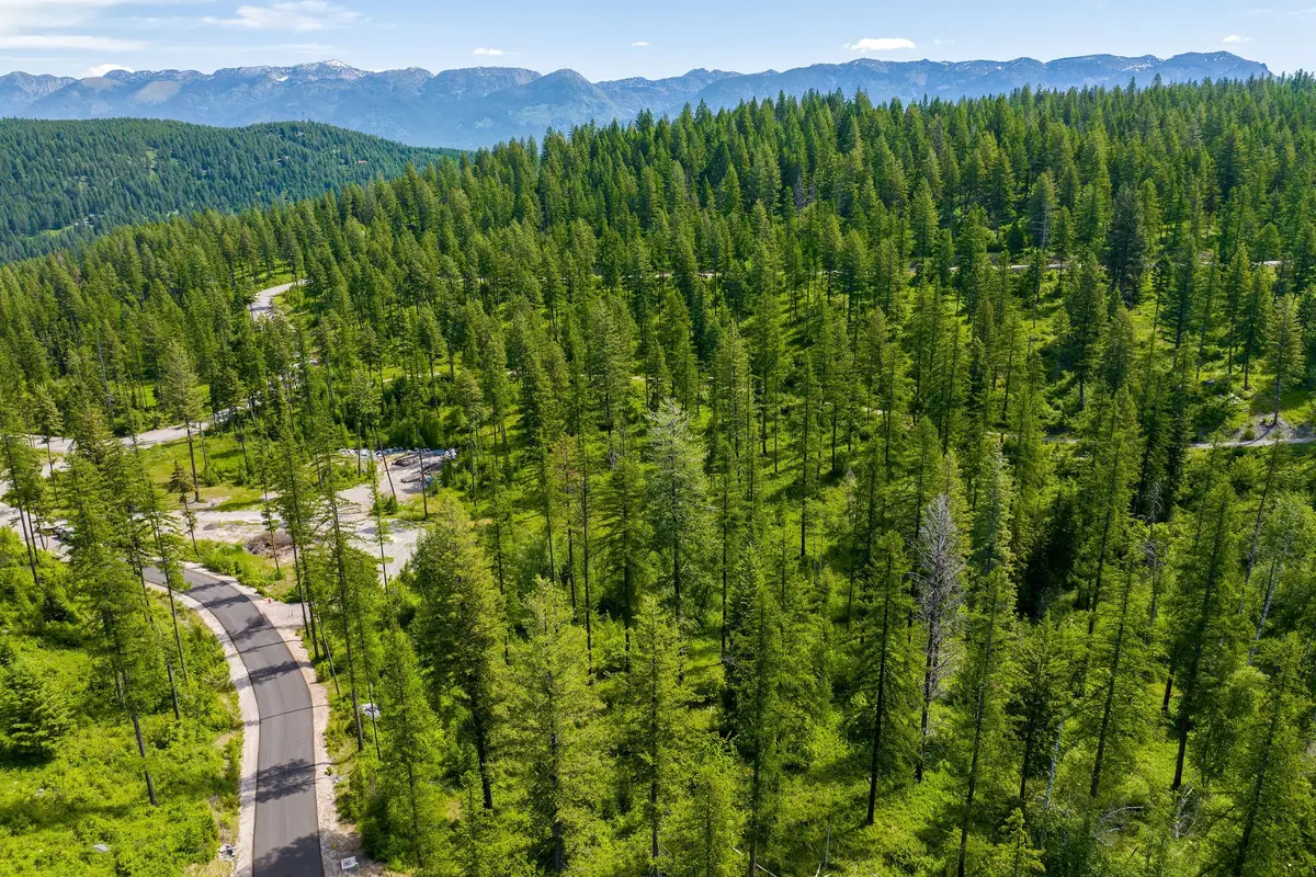 477 Chief Cliff Trail, Bigfork, MT 59911 - #1