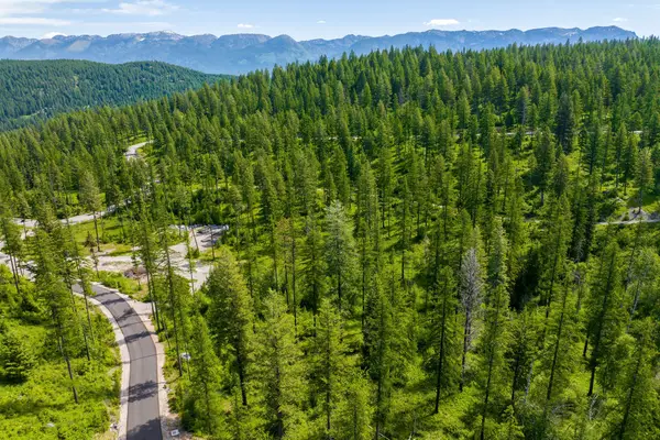 477 Chief Cliff Trail, Bigfork, MT 59911
