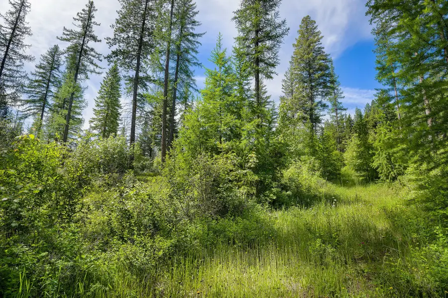 477 Chief Cliff Trail, Bigfork, MT 59911 - #2