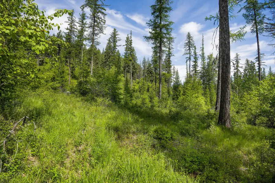 477 Chief Cliff Trail, Bigfork, MT 59911 - #3
