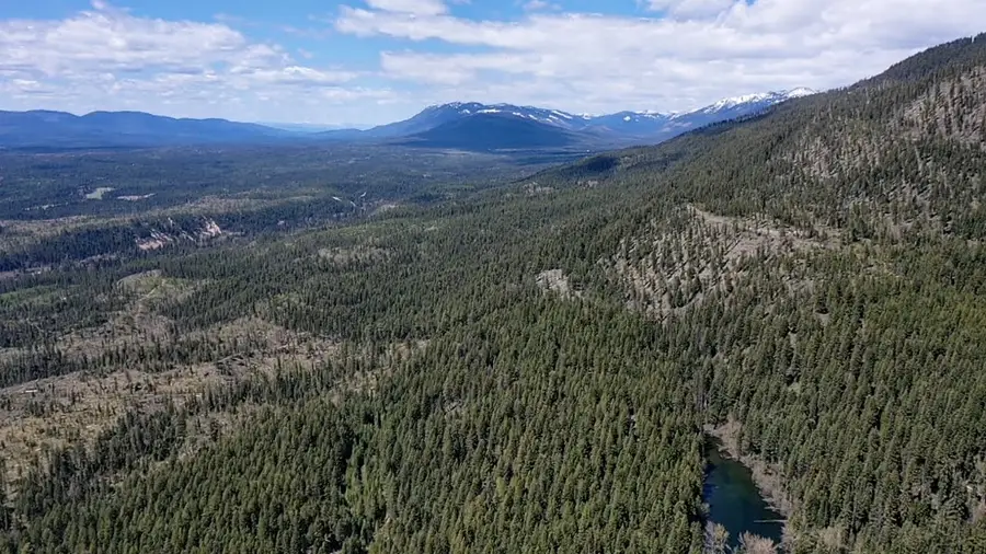 NHN Eagle Rock Road, Whitefish, MT 59937 - #3