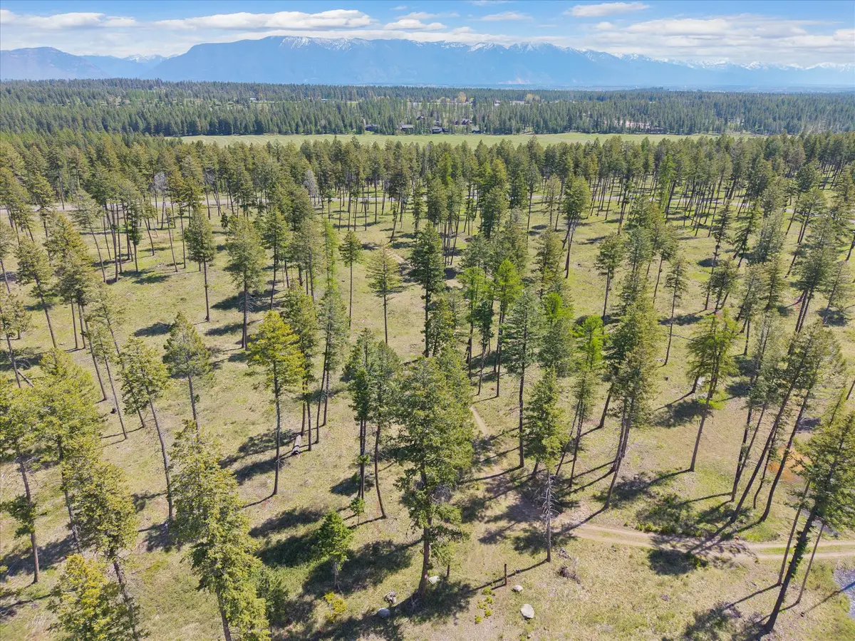 272 Layton Road, Whitefish, MT 59937 - #1
