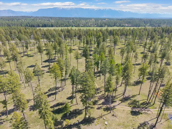 272 Layton Road, Whitefish, MT 59937
