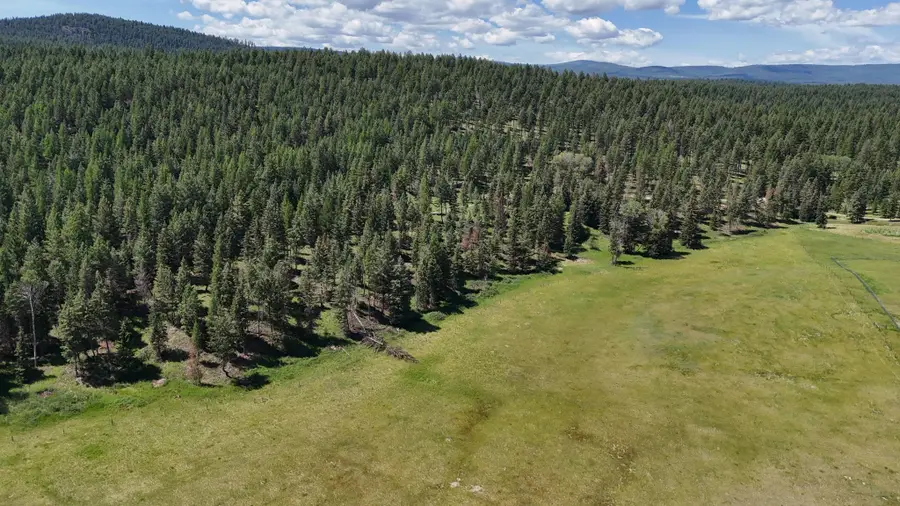 340 Eagle Lake Loop, Fortine, MT 59918 - #2