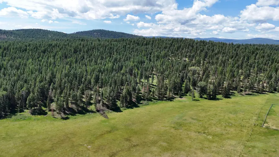 340 Eagle Lake Loop, Fortine, MT 59918 - #3