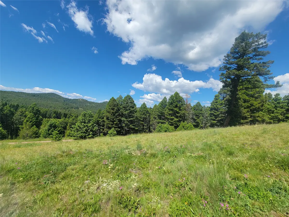 Lot 83 Hoover Creek Road, Helmville, MT 59843 - #1