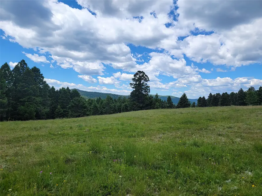 Lot 83 Hoover Creek Road, Helmville, MT 59843 - #2