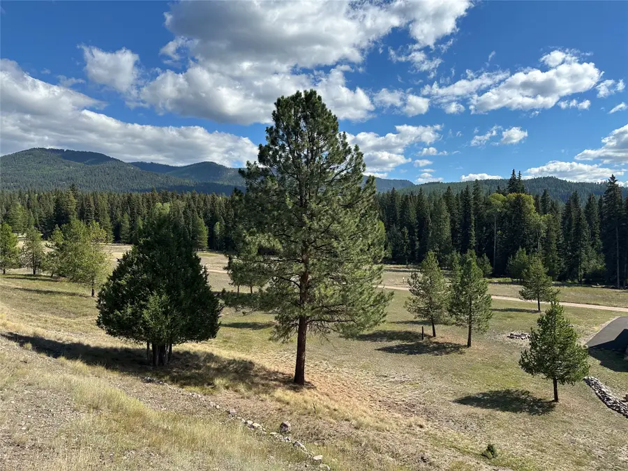 975 Whitetail Drive, Seeley Lake, MT 59868 - #3