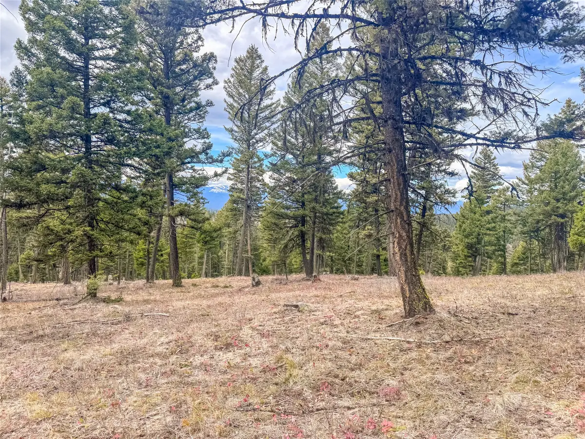 NHN Old Oregon Trail, Clinton, MT 59825 - #1