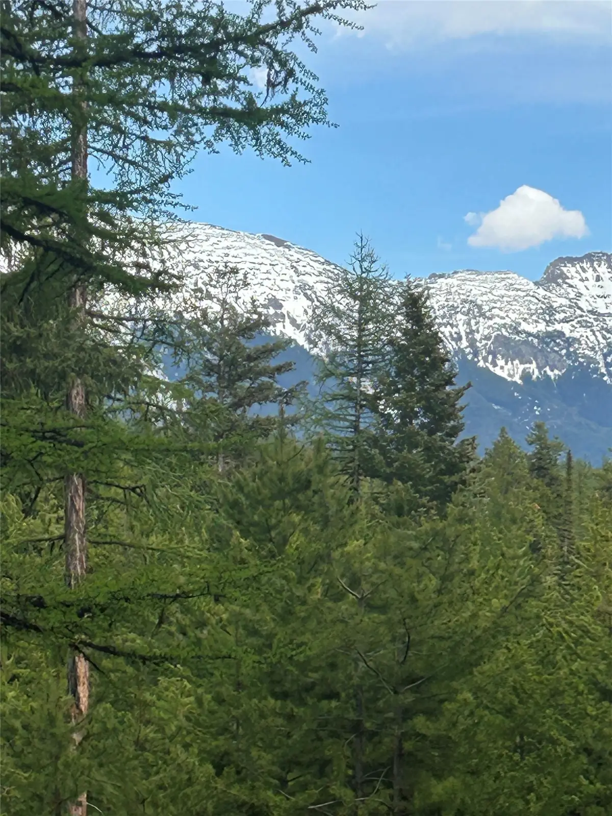 409 Old Barn Road, Seeley Lake, MT 59868 - #1