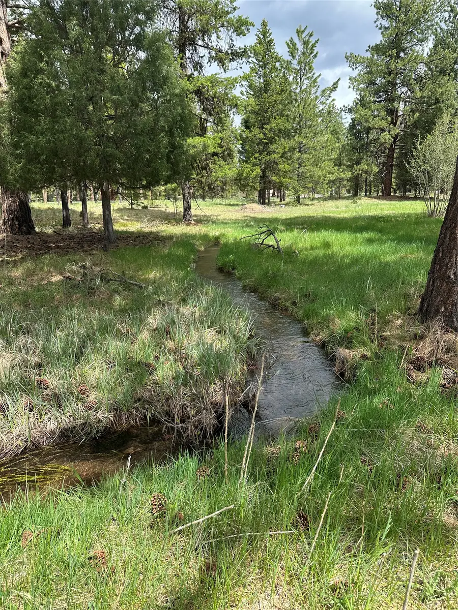 170 Drew Creek Loop, Seeley Lake, MT 59868 - #3