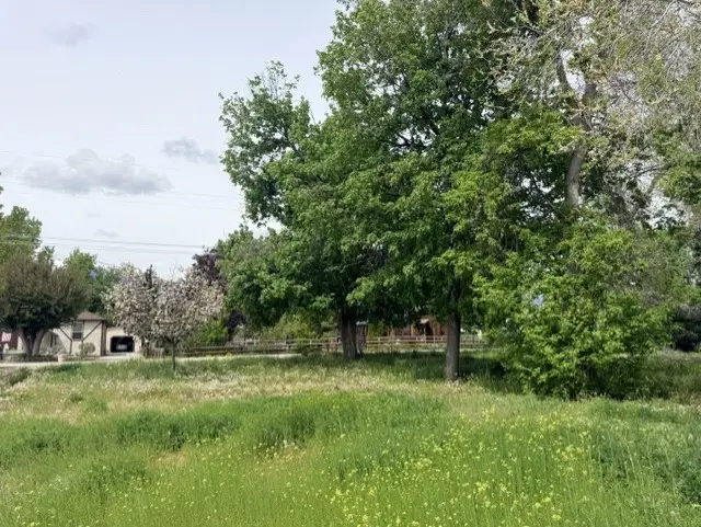 240 Daly Avenue, Hamilton, MT 59840 - #2