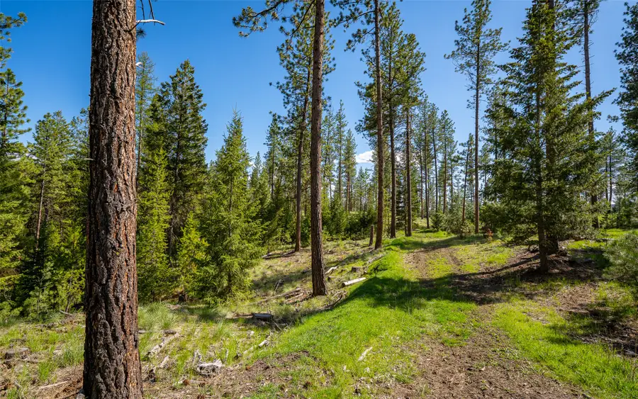 3605 Hubbart Dam Road, Marion, MT 59925 - #3