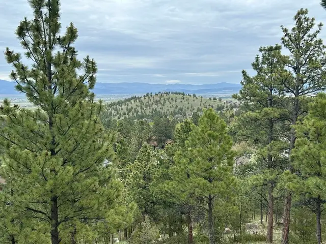 2511 Gold Rush Avenue, Helena, MT 59601 - #1