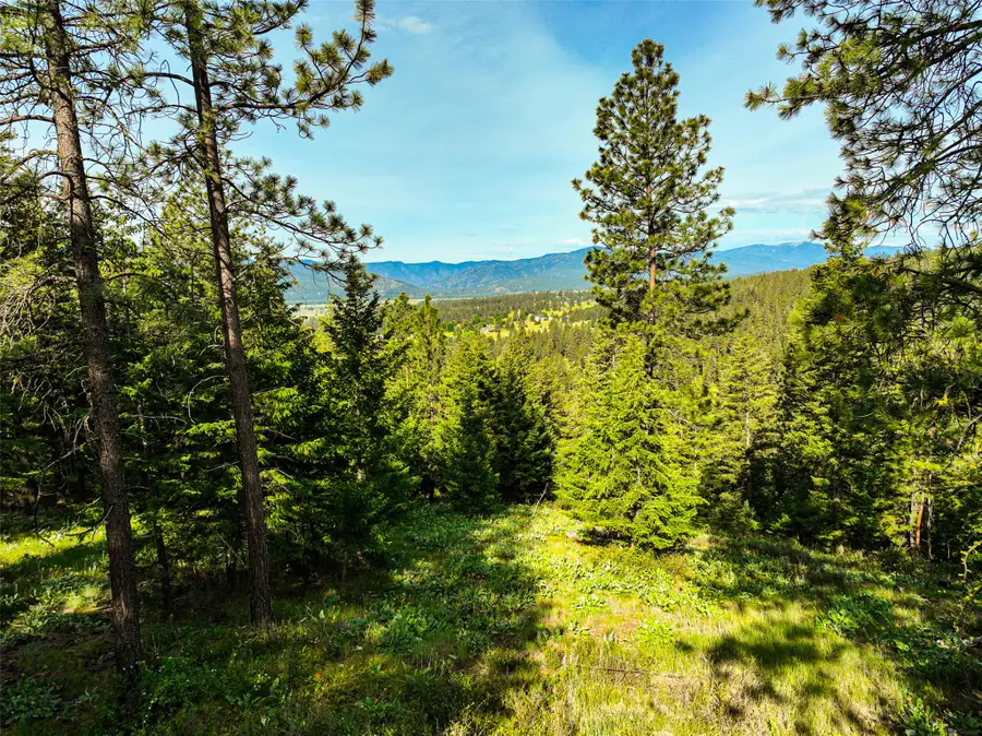 NHN Nighthawk Drive, Frenchtown, MT 59834 - #3