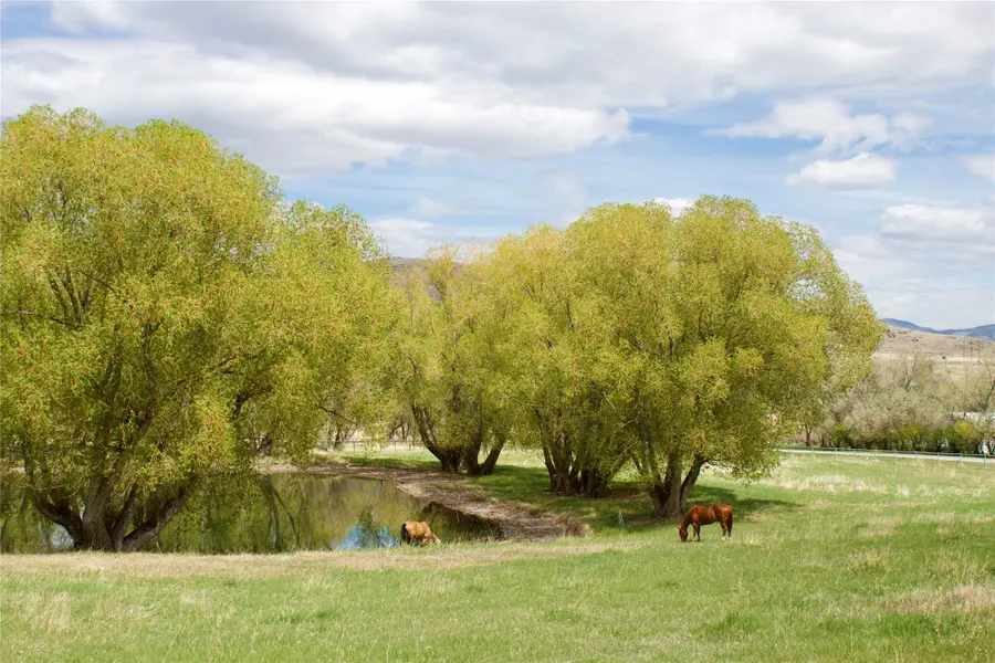 Address Withheld By Seller, Whitehall, MT 59759 - #3