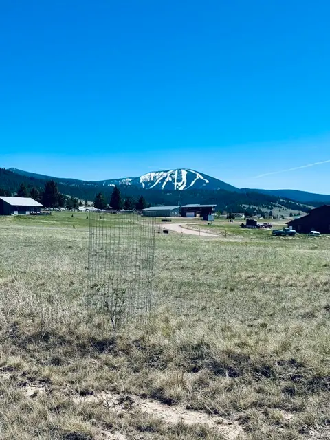 Whiskey Flats Stevie Lane/s. Sunbear Drive, Philipsburg, MT 59858 - #3