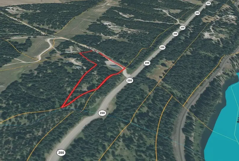 1 Guy Hall Road, Trout Creek, MT 59874 - #3