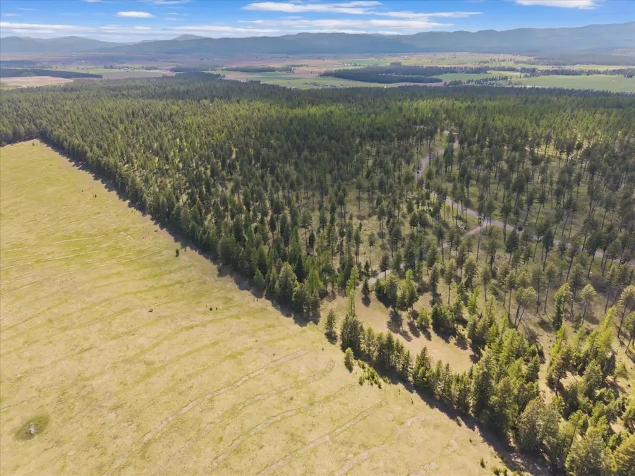 245 Layton Road, Whitefish, MT 59937 - #3