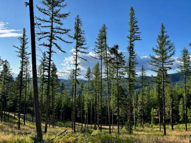 11509 Timber Ridge Lane, Missoula, MT 59808 - #2