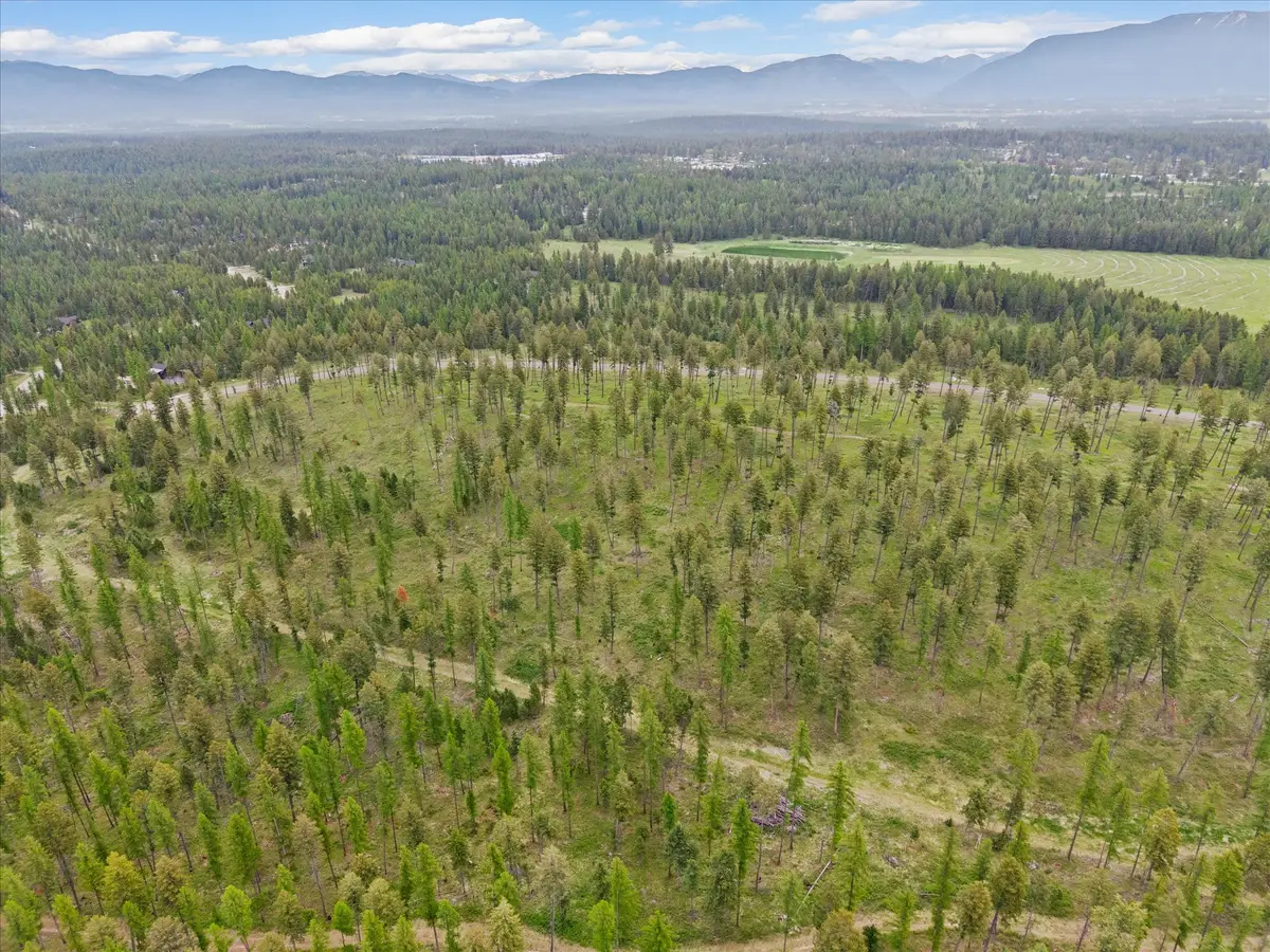 296 Layton Road, Whitefish, MT 59937 - #1