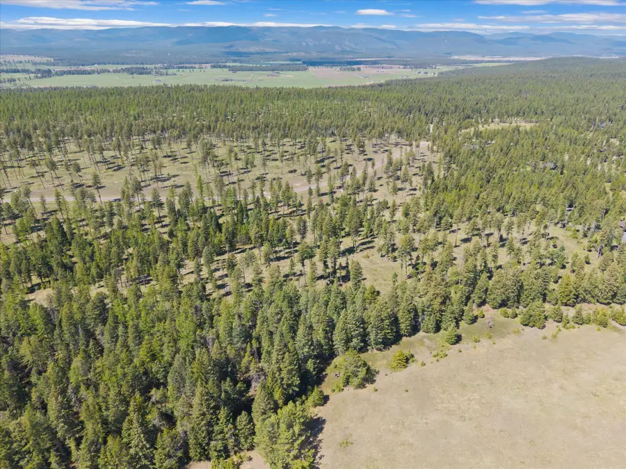 327 Layton Road, Whitefish, MT 59937 - #3