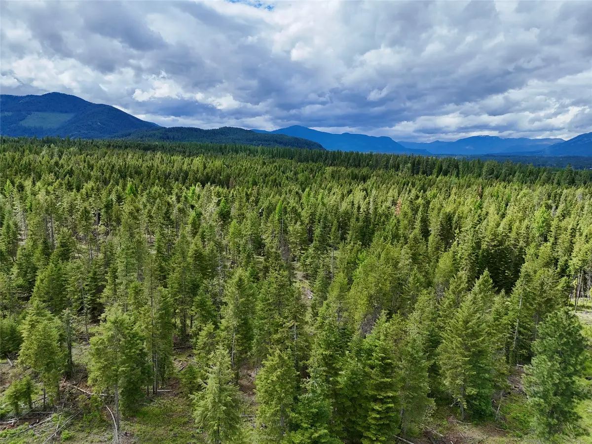 Nhn S Squire Lane, Trout Creek, MT 59874 - #1