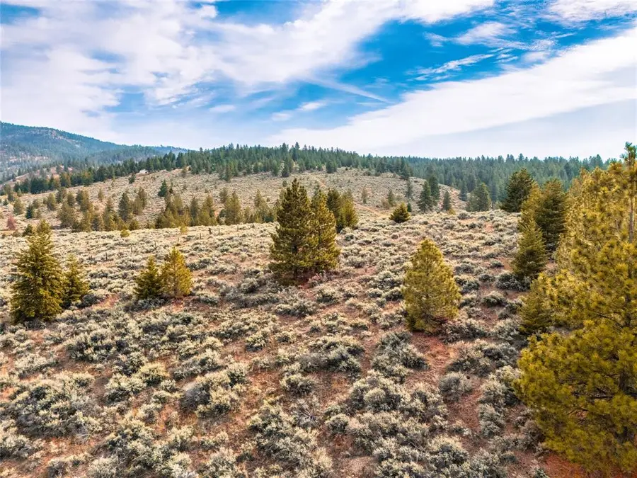 Lot 1 Sapphire Ridge, Florence, MT 59833 - #3