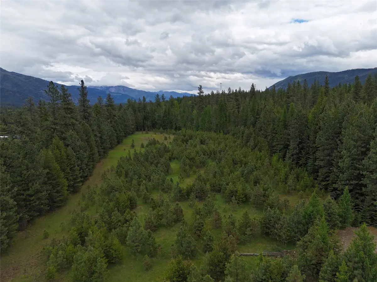 Nhn Old Cottonwood Lane, Trout Creek, MT 59874 - #1