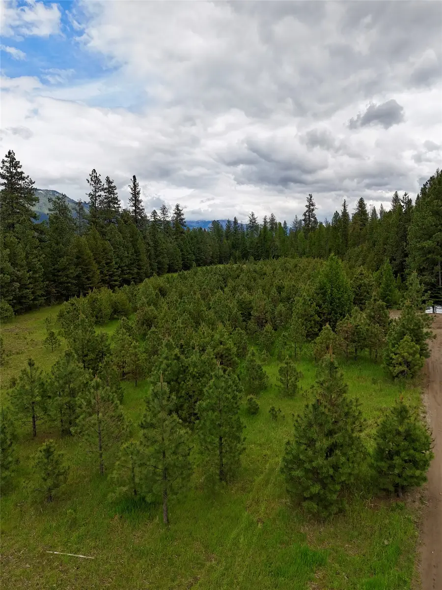 Nhn Old Cottonwood Lane, Trout Creek, MT 59874 - #2