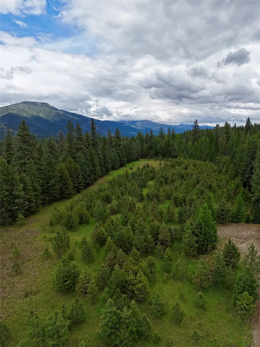 Nhn Old Cottonwood Lane, Trout Creek, MT 59874 - #3