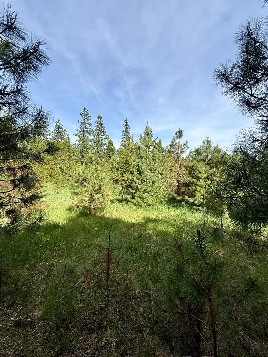 7 & Nhn Old Cottonwood Lane, Trout Creek, MT 59874 - #3