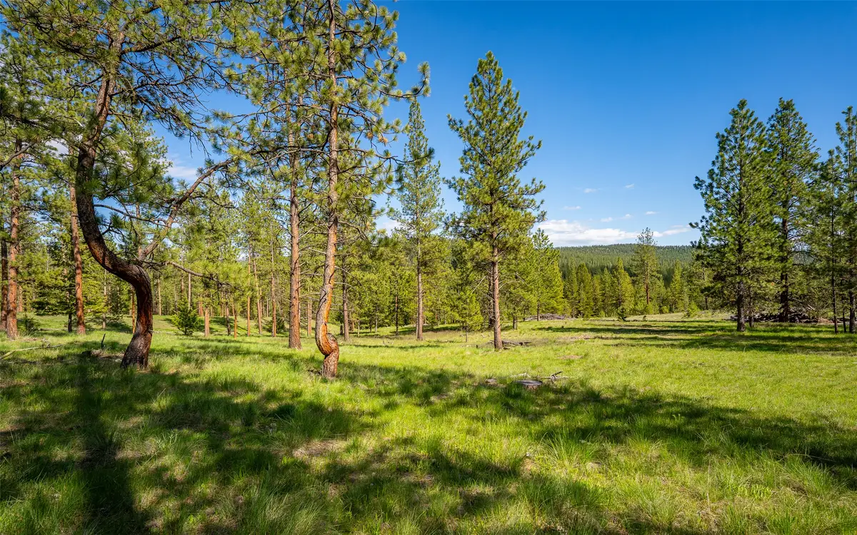 3655 Hubbart Dam Road, Marion, MT 59925 - #1