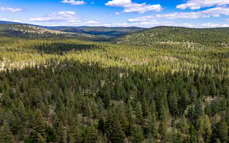 3655 Hubbart Dam Road, Marion, MT 59925 - #2