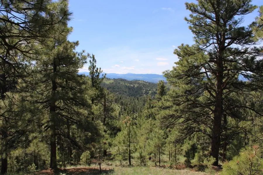 6 Pine Coulee Lane, Cascade, MT 59421 - #3