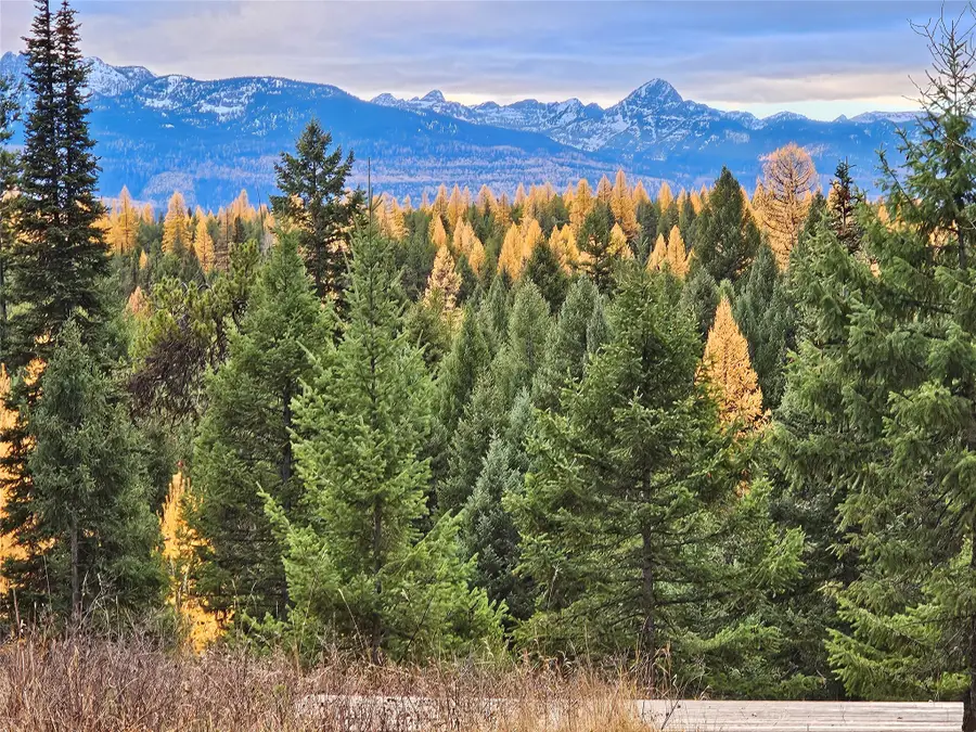 6327 Hwy 83 N, Condon, MT 59826 - #2