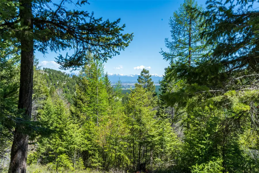 1643 Mcmannamy Draw, Kalispell, MT 59901 - #2