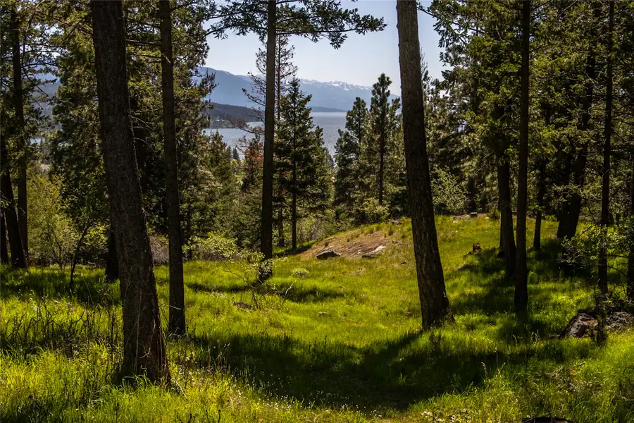 87 Rock Ridge Way, Bigfork, MT 59911 - #3