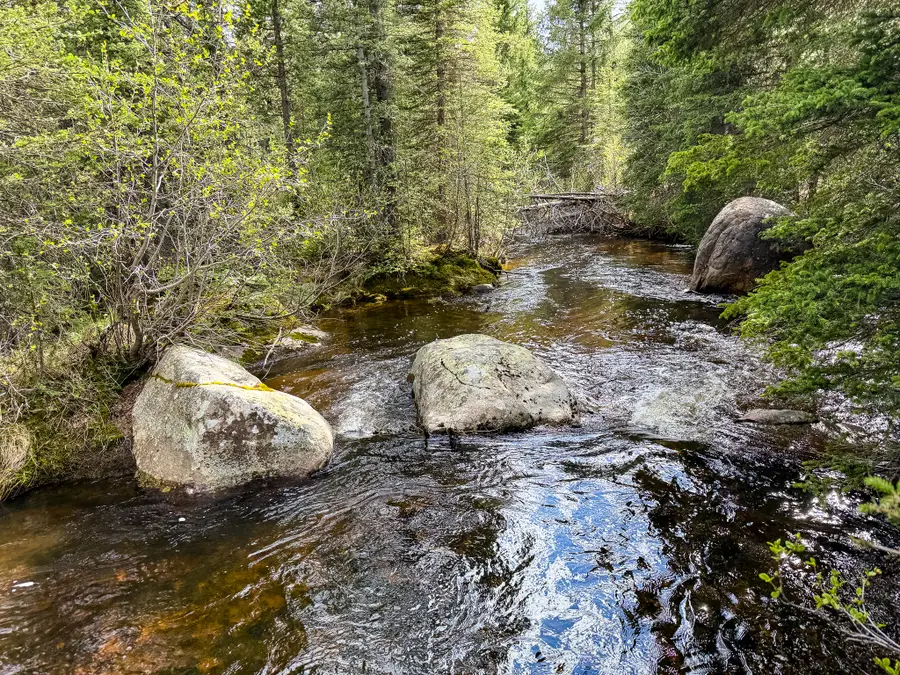 NHN (Clipper Lode) Cataract Creek Road, Boulder, MT 59632 - #2