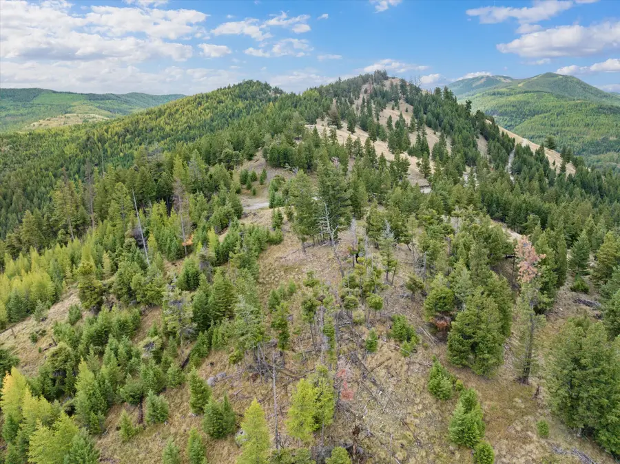Tract 1 & 2 Wild Horse Trail, Kila, MT 59920 - #2