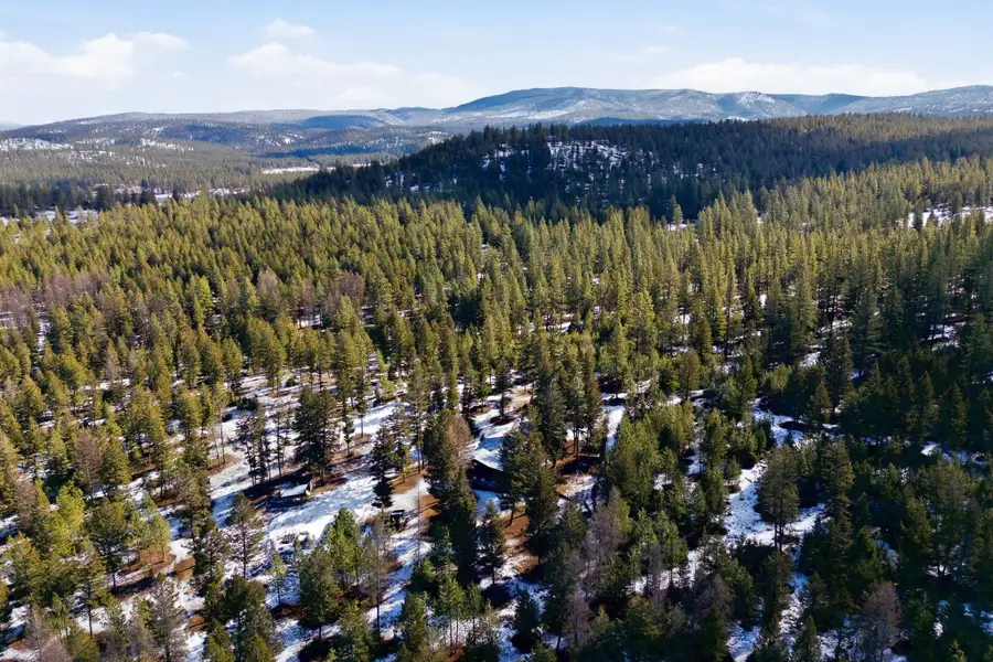 875 Hidden Treasure Court Court, Bonner, MT 59823 - #3