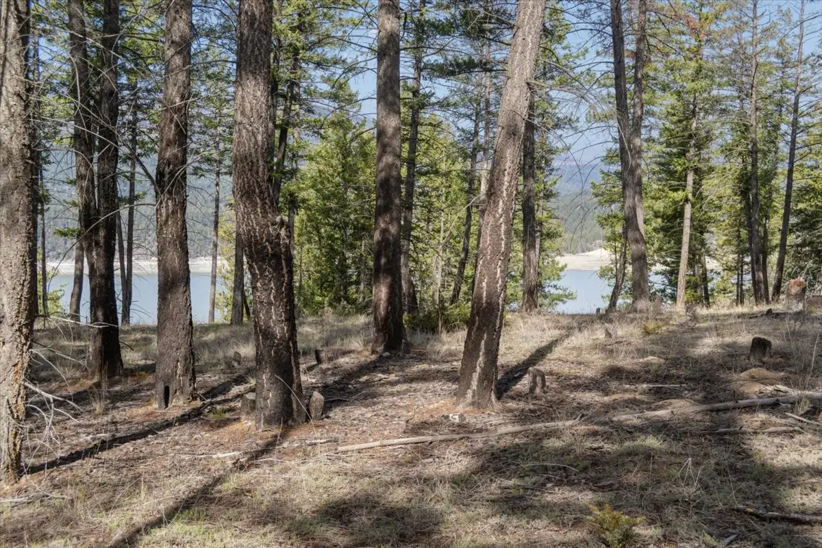 NHN Cove Drive, Rexford, MT 59930 - #1