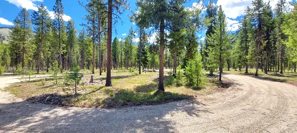 NHN (Parcel B) Deer Walk Way, Darby, MT 59829