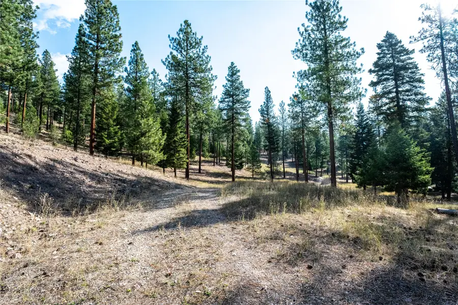 14311 Muddler Court, Clinton, MT 59825 - #3