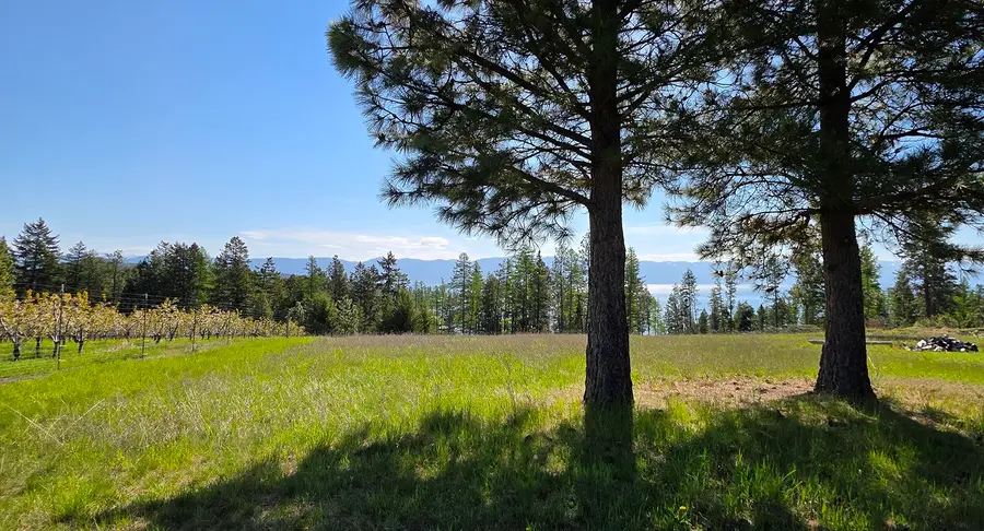 22756 Us Highway 93, Rollins, MT 59931 - #2